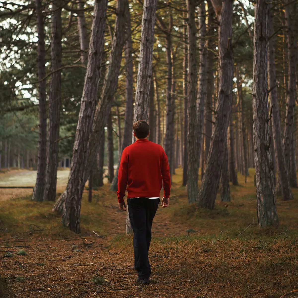 Base Merino Knit L/S Polo - Red