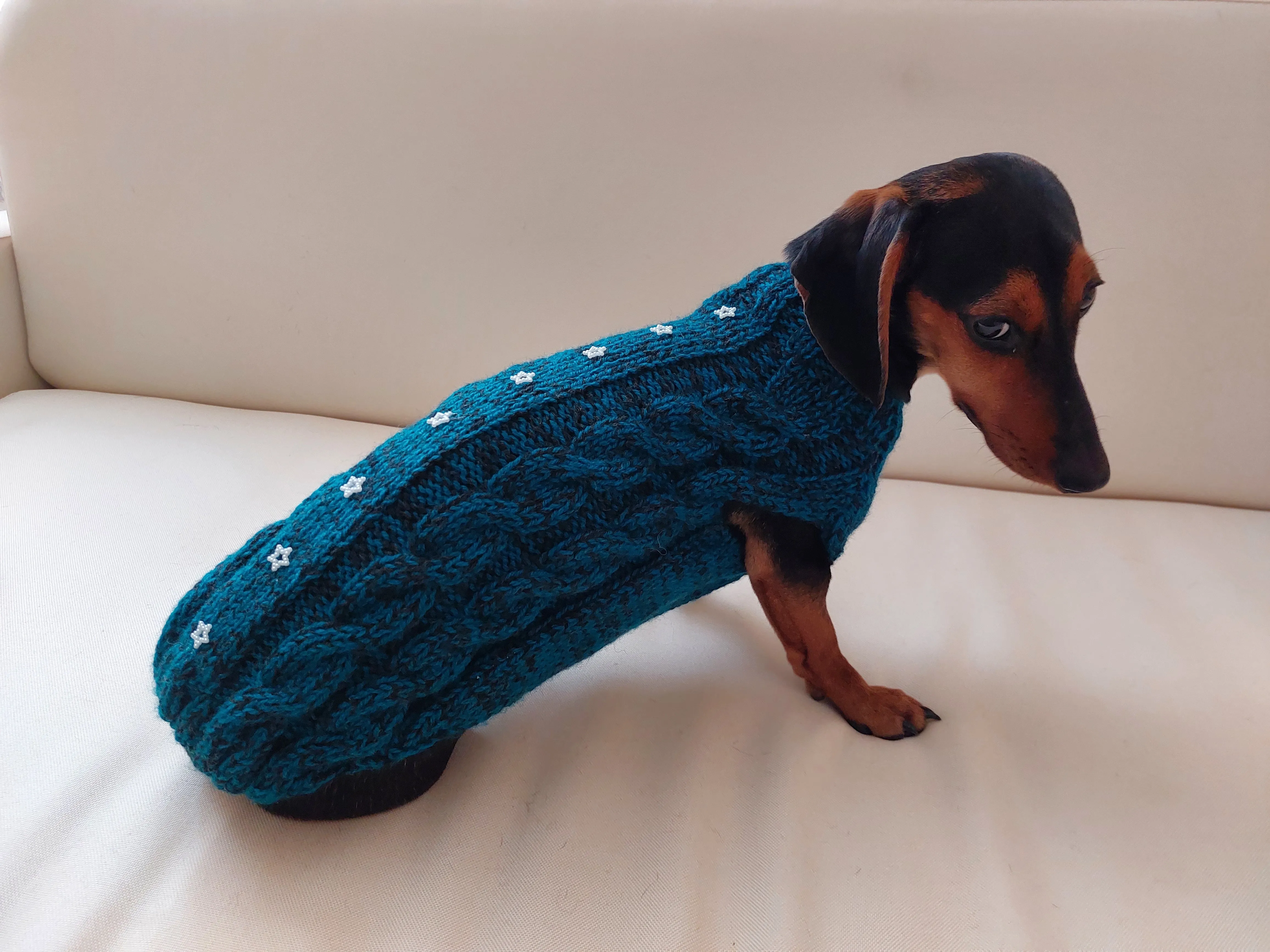 Christmas sweater with stars for dog