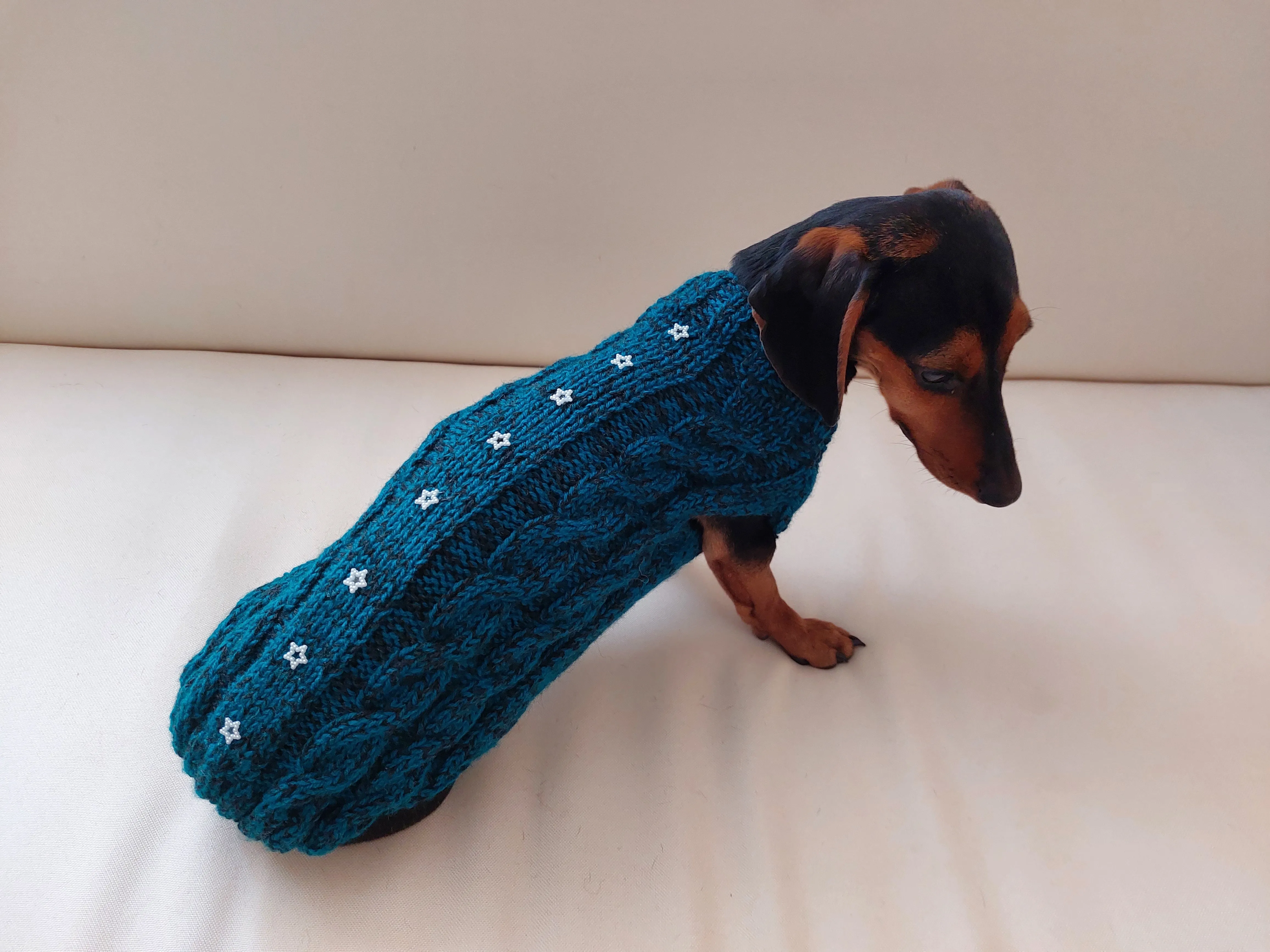 Christmas sweater with stars for dog