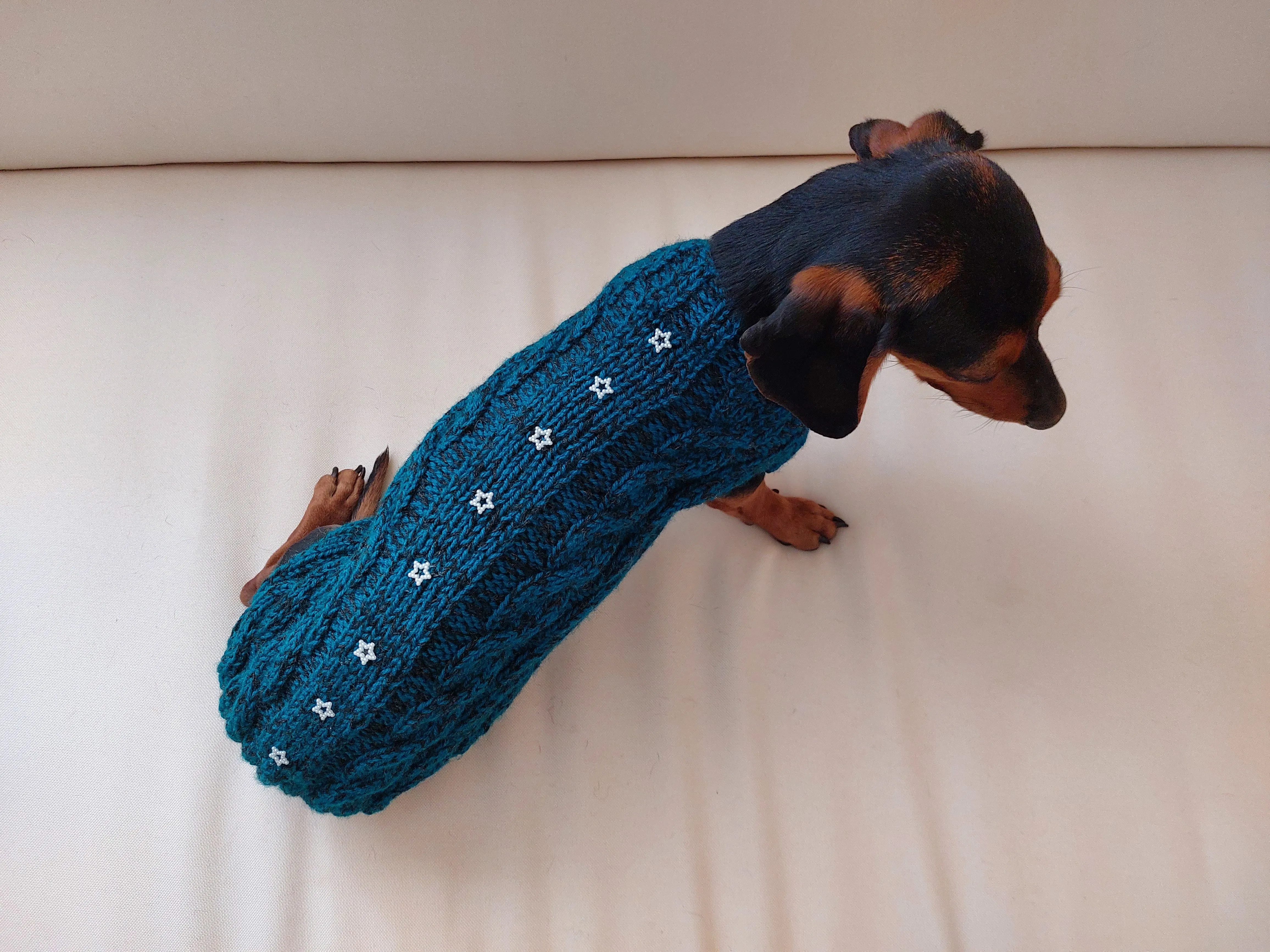 Christmas sweater with stars for dog