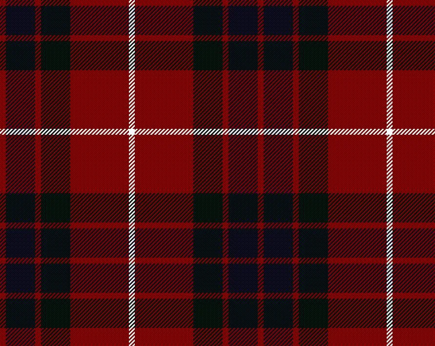 Fraser Modern Tartan Scarf