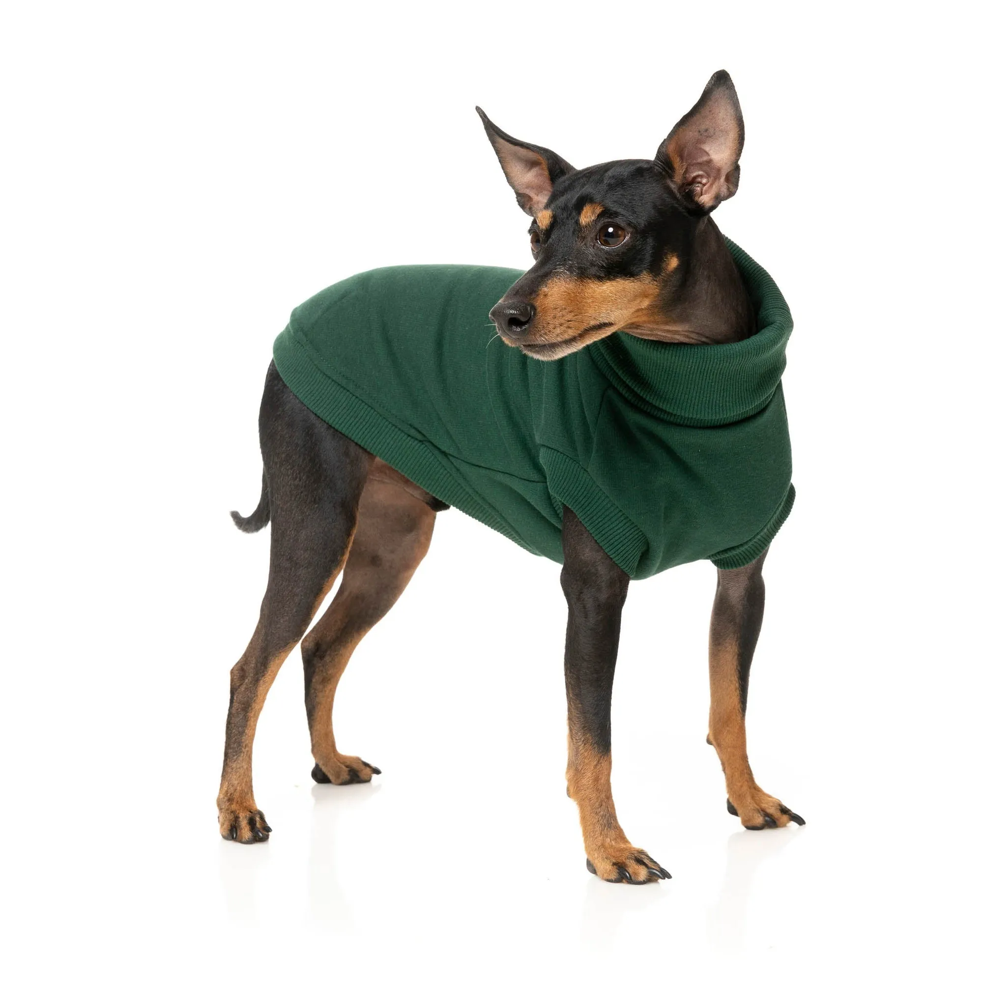 FuzzYard Dog Apparel Stevie Sweater Green Size 1 XXSmall***