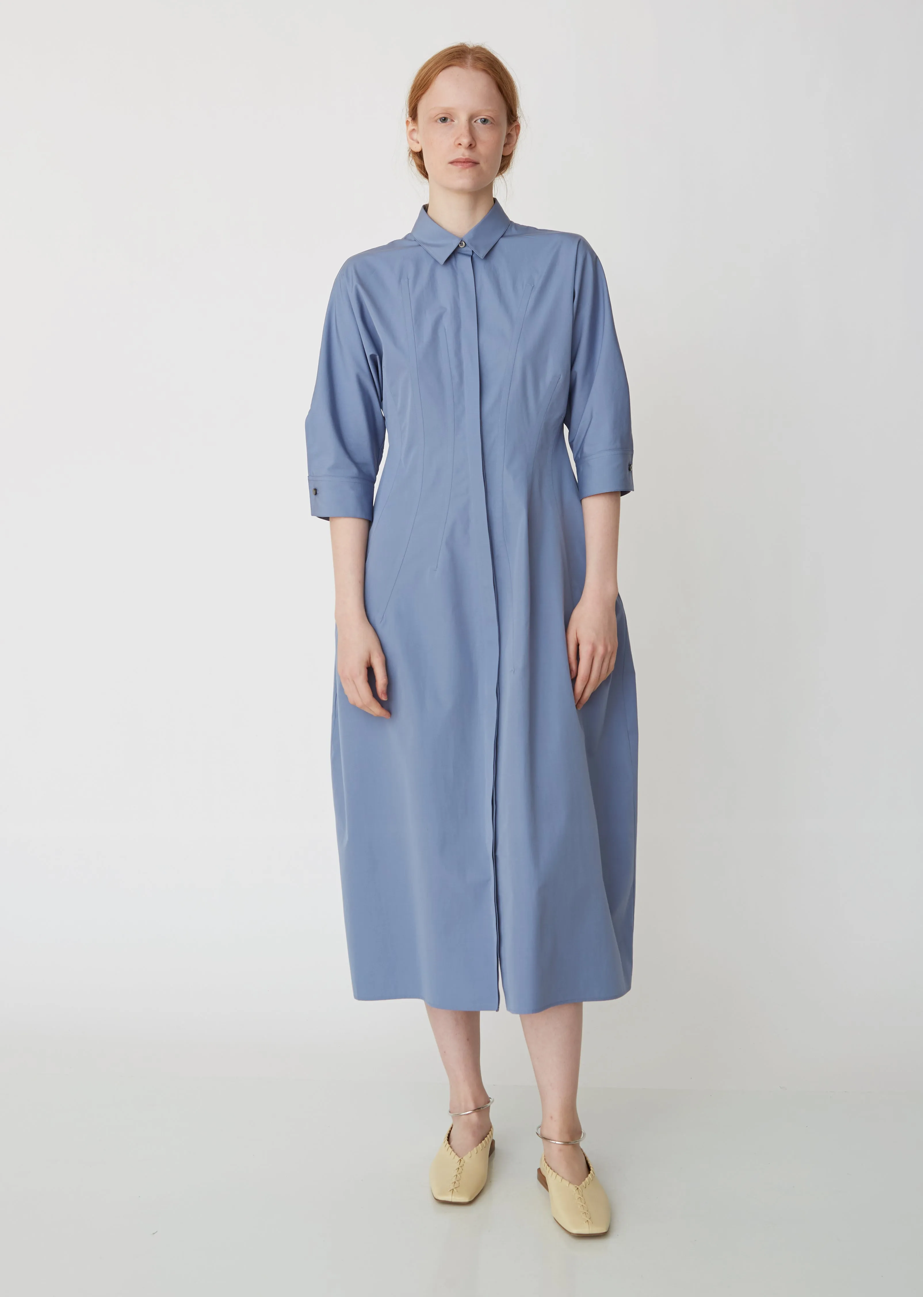 Garden Cotton Poplin Dress