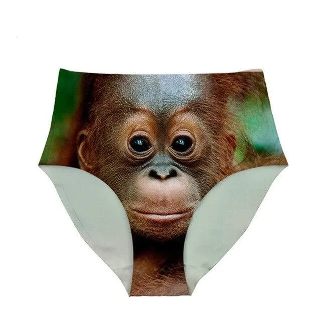 Panda Bear Underwear