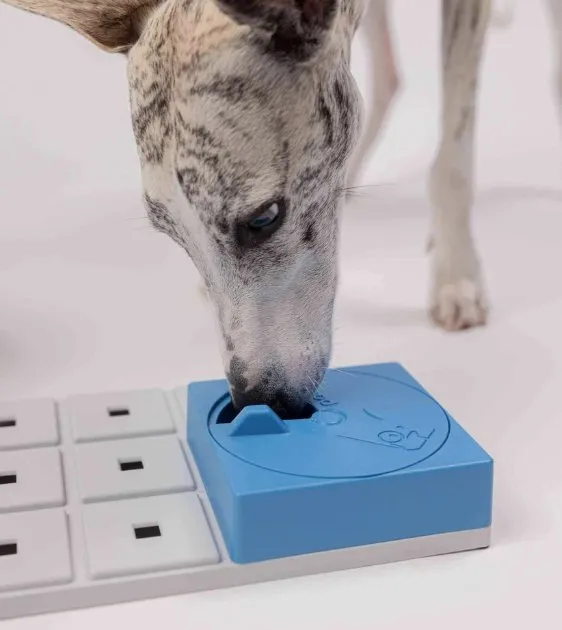 Pawzler Innovative Modular Dog Puzzles (Oli Without Base)