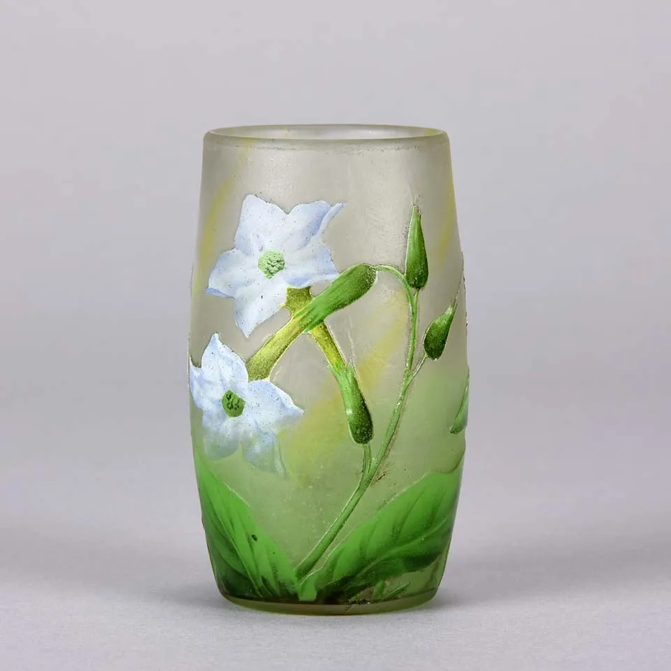 "Nicotiana Beaker" by Daum Frères