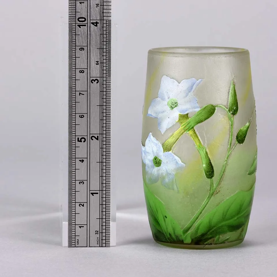 "Nicotiana Beaker" by Daum Frères