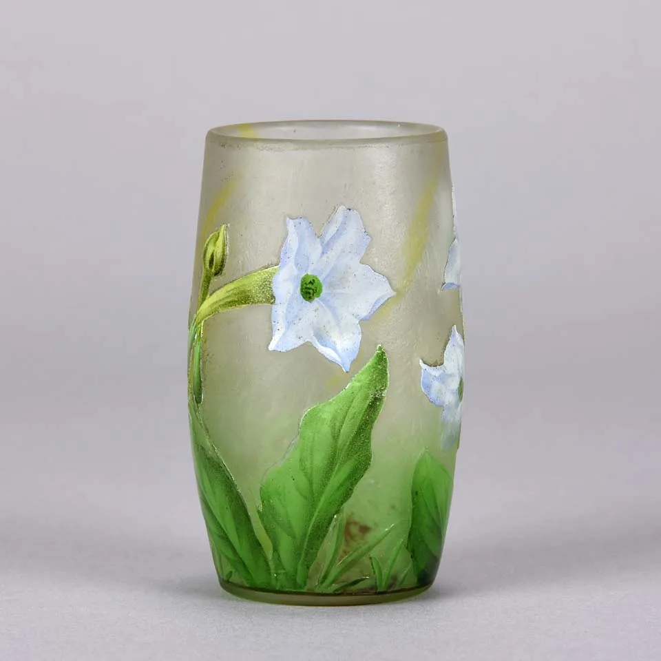 "Nicotiana Beaker" by Daum Frères