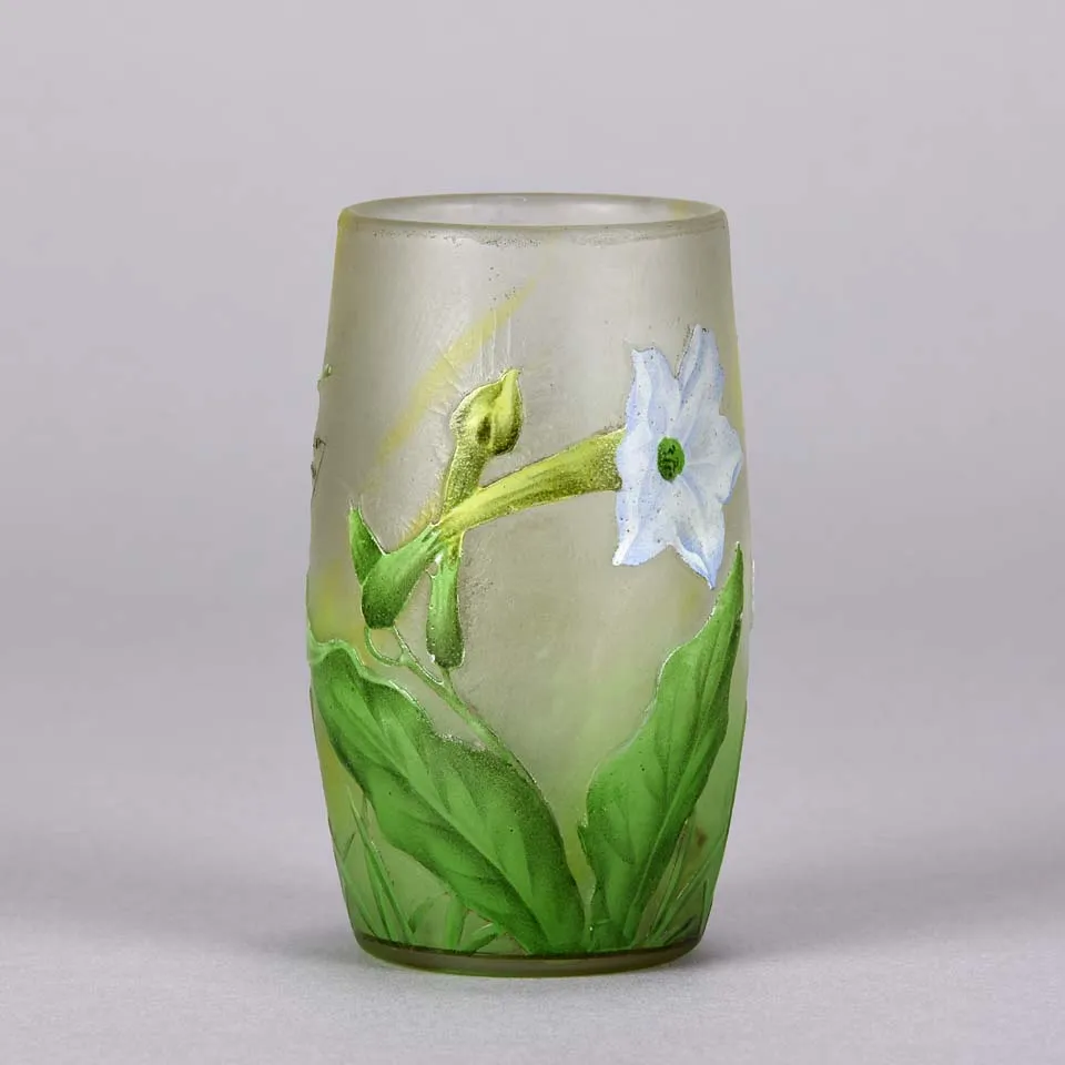 "Nicotiana Beaker" by Daum Frères